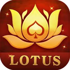 teen patti 247 download